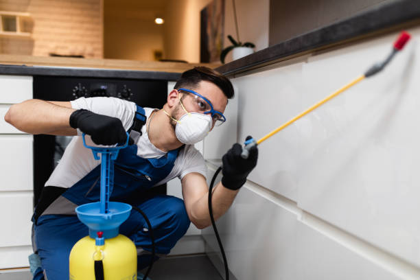Trusted Versailles, MO Pest Control Experts