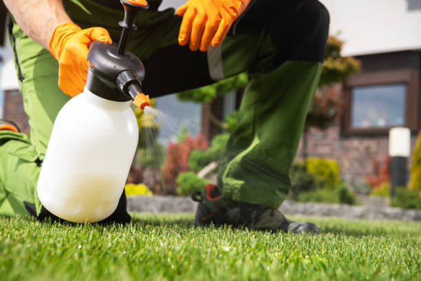 Professional Pest Control in Versailles, MO