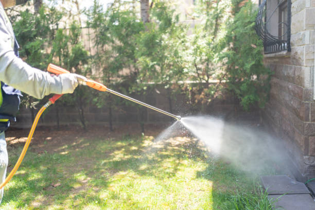 Best Pest Prevention Services  in Versailles, MO